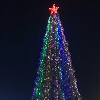 МамаСына